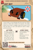 Starter Robot Kit Bat and Ant