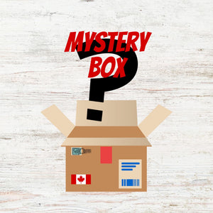 Mystery Robotix Box