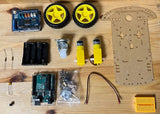 Starter Robot Kit Bat and Ant