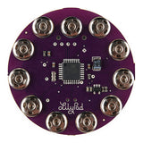 Arduino LilyPad SimpleSnap