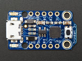 Adafruit Trinket - Mini Microcontroller (3.3V Logic)