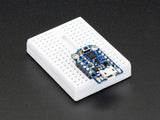 Adafruit Trinket - Mini Microcontroller (3.3V Logic)