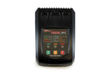 Tenergy TE3018 18W Compact Balance Charger for LiPo/LiFePO4/NiMH Battery Packs