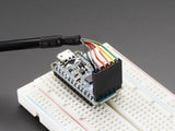 Adafruit Pro Trinket (5V 16MHz)