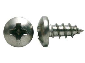 Pointed Tip Screw - Philips Head (1/4