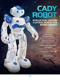 JJRC R2 CADY WIDA Intelligent RC Robot - Blue