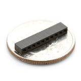 2mm XBee Socket (10-pin)