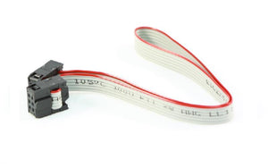 Ribbon Cable with IDC Connectors (6-pin 12")