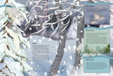 The Boreal Forest: A Year in the World's Largest Land Biome